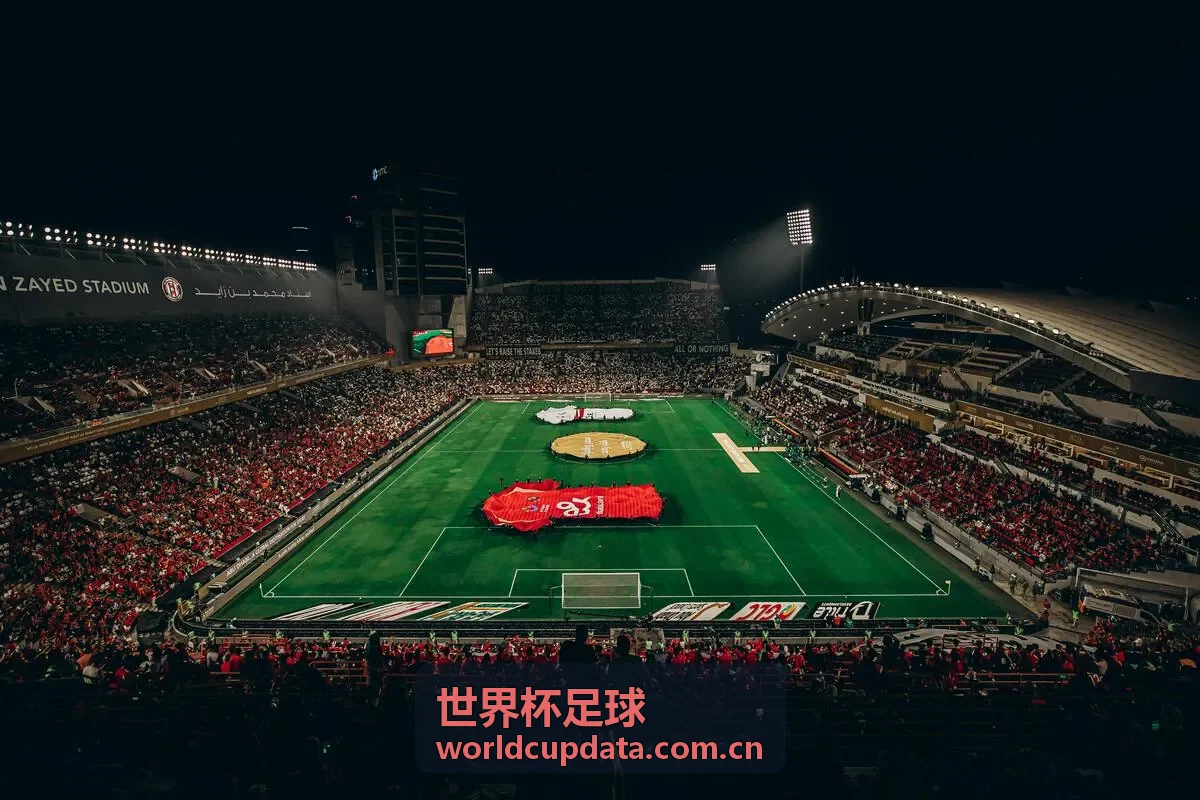 世界杯足球 - 阿根廷国家队